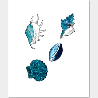 Sea shells Posters and Art